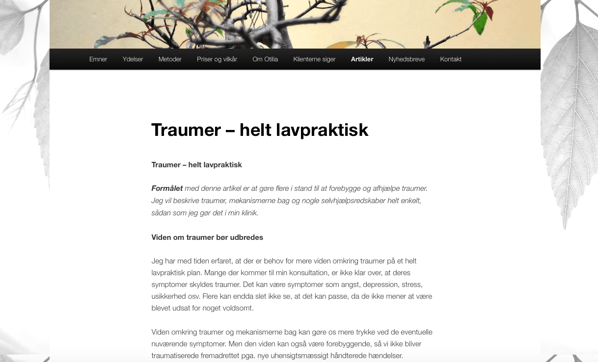 Typer af blogindlæg - debat & viden